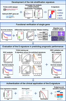 A novel epithelial-mesenchymal transition (EMT)-related gene signature of predictive value for the survival outcomes in lung adenocarcinoma